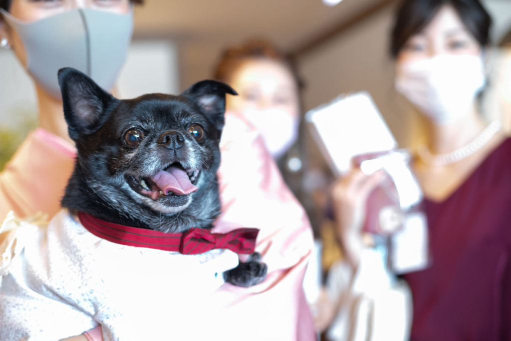 温かな笑顔と溢れ出す想い オシャレなペットWedding