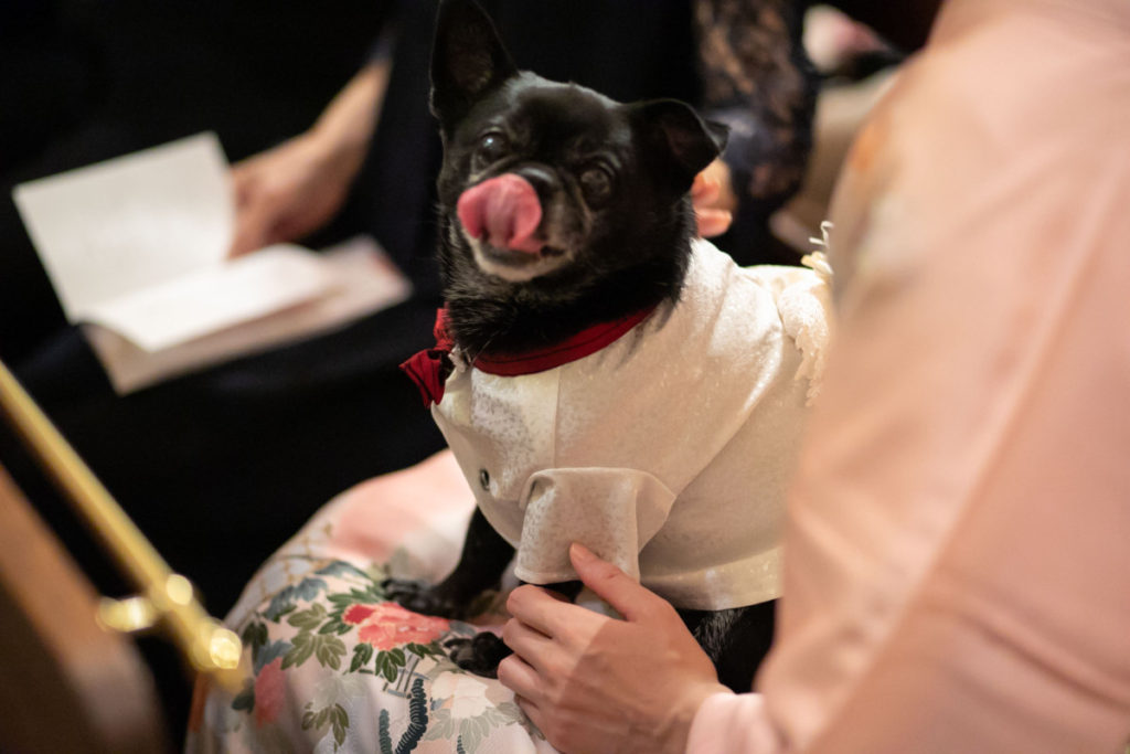 温かな笑顔と溢れ出す想い オシャレなペットWedding