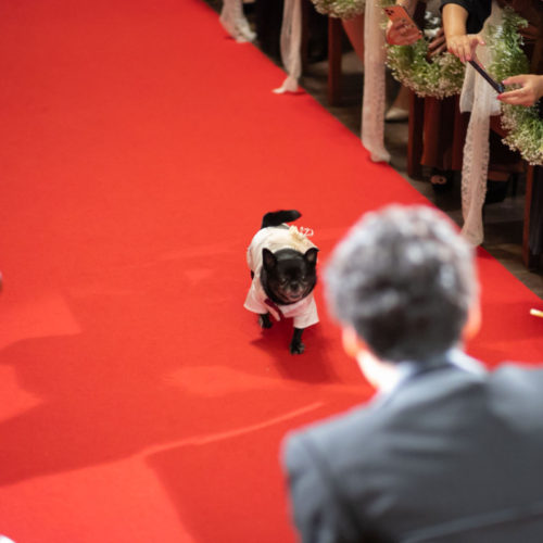 温かな笑顔と溢れ出す想い オシャレなペットWedding